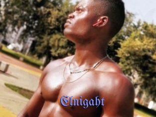 Elnigaht