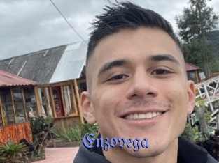 Enzovega
