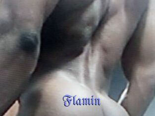 Flamin