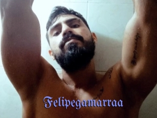 Felipegamarraa