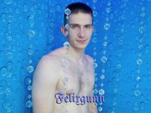 Felixgunn