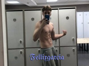 Fellixgarcia