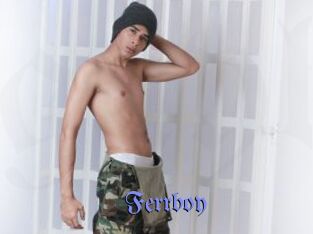 Ferrboy