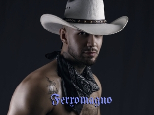 ferxomagno Gay Buzz