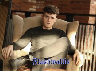 Flashwallis