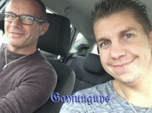 Gayfunguys