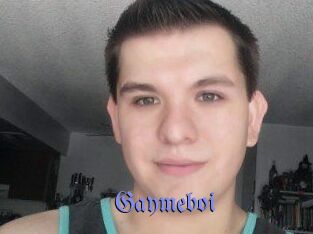 Gaymeboi