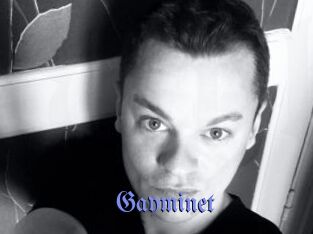 Gayminet