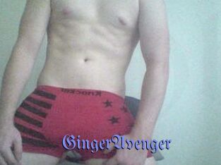 GingerAvenger