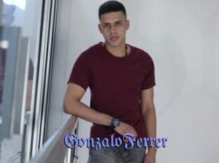 GonzaloFerrer