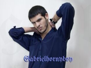 Gabrielhornyboy
