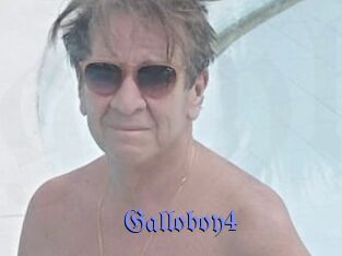 Galloboy4
