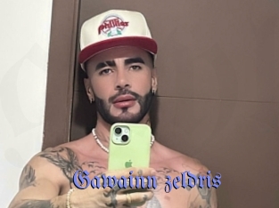 gawainn_zeldris Gay Buzz