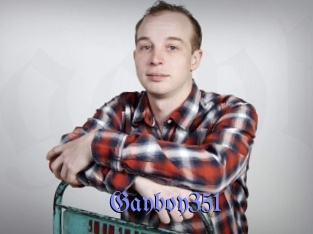 Gayboy351