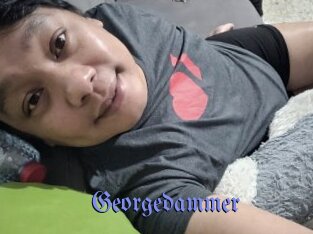Georgedammer