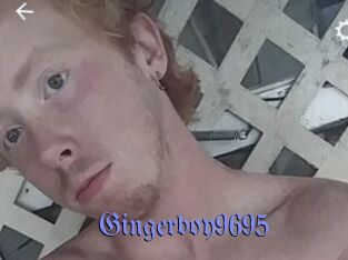 Gingerboy9695