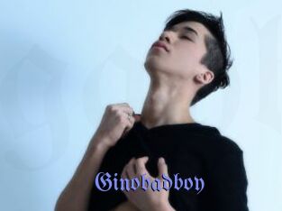 Ginobadboy