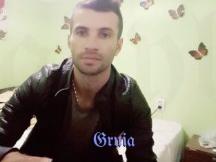 Gruia