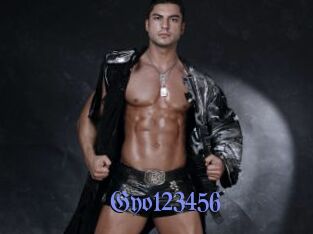 Gyo123456