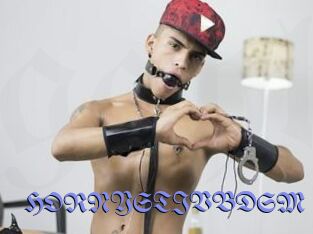HORNYSTIVBDSM