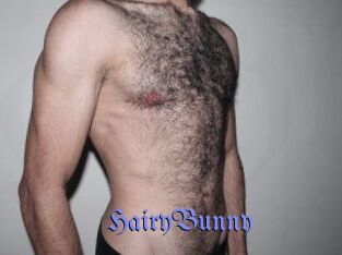 HairyBunny