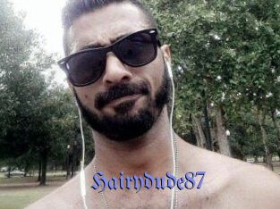Hairydude87