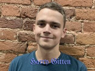 Harry_Gitten