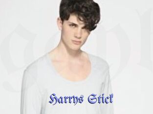 Harrys_Stick