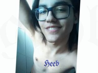 Heeb