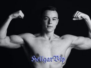 HeilgarVip