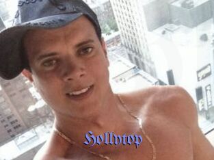 Hollytop