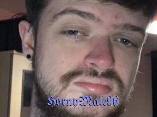 HornyMale96