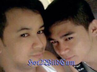 Hot2WildCum