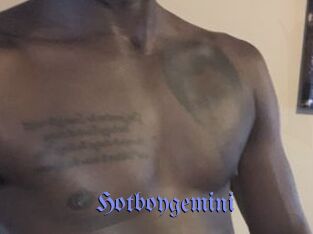 Hotboygemini Gay Buzz