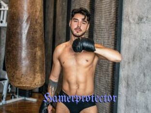 Hamerprotector