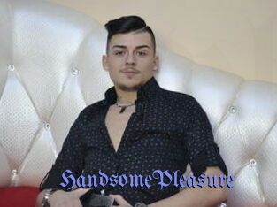 HandsomePleasure