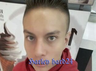 Harley_hard24
