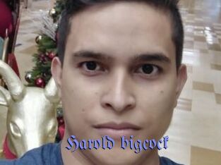 Harold_bigcock