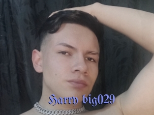 Harry_big029