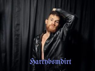 Harrybsmdirt