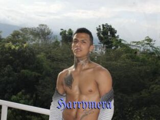 Harrymera