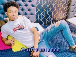 harrymontanaa Gay Buzz