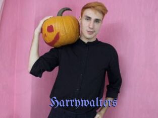 Harrywalters