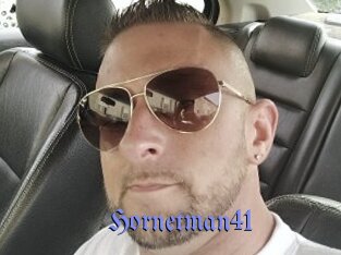 Hornetman41