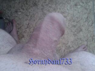Hornydan1733