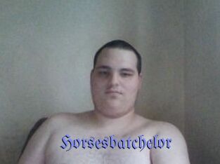 Horsesbatchelor