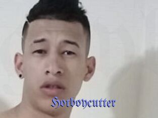 Hotboycutter