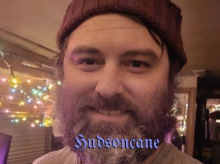 hudsoncane Gay Buzz
