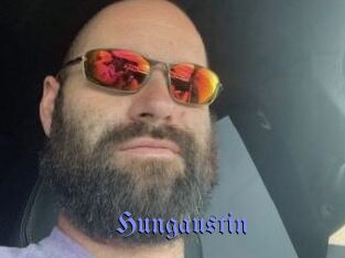 Hungaustin