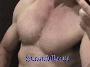 Hungnfullocum
